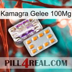 Kamagra Jelly 100Mg new12